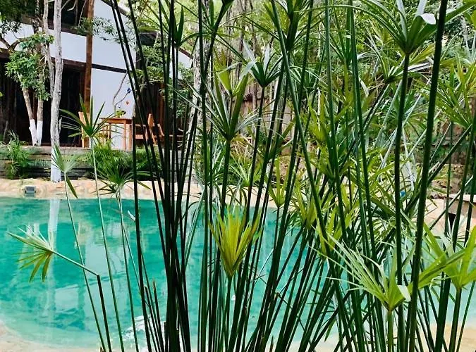 Nahouse Jungle Lodge Tulum