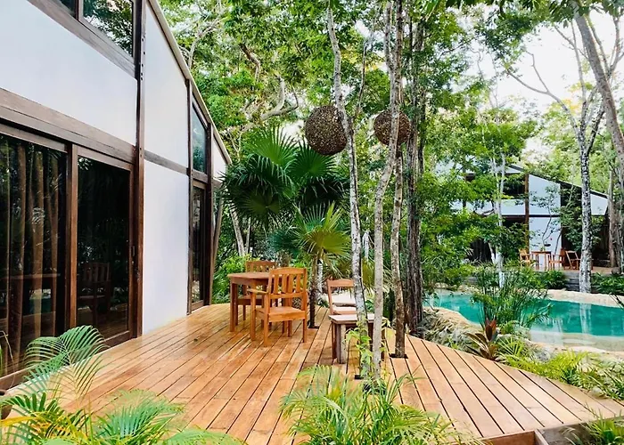 Nahouse Jungle *
