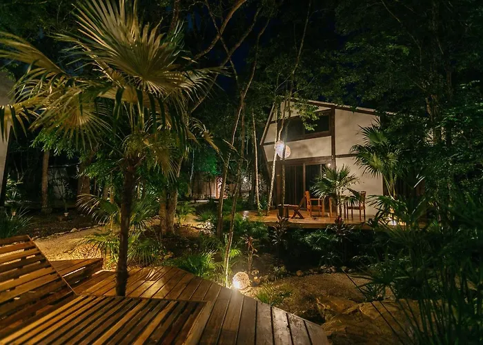 Nahouse Jungle Lodge