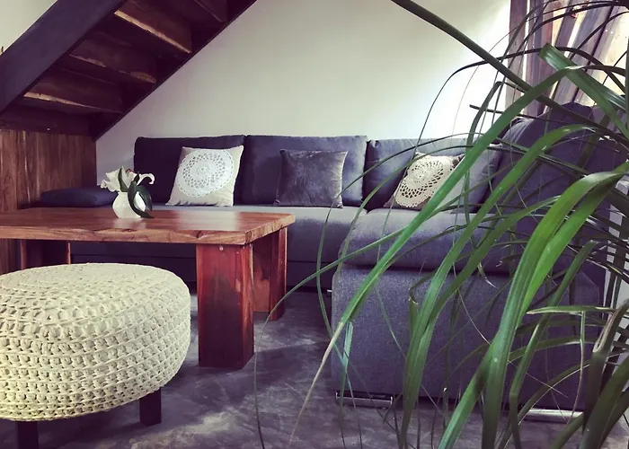 Nahouse Jungle *