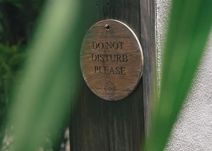 Nahouse Jungle