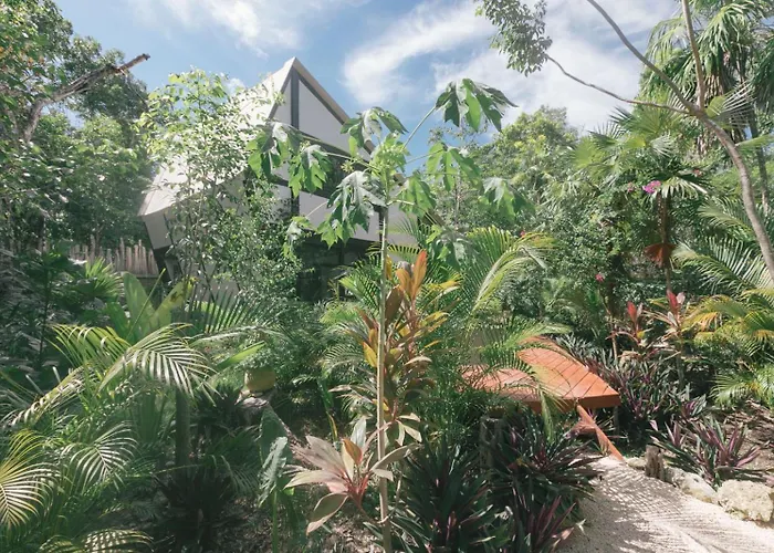 Nahouse Jungle *