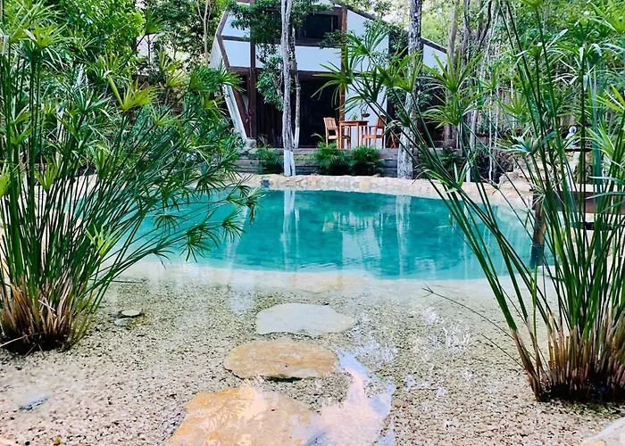 Nahouse Jungle