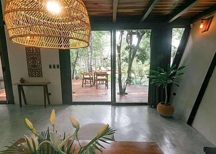 Nahouse Jungle *