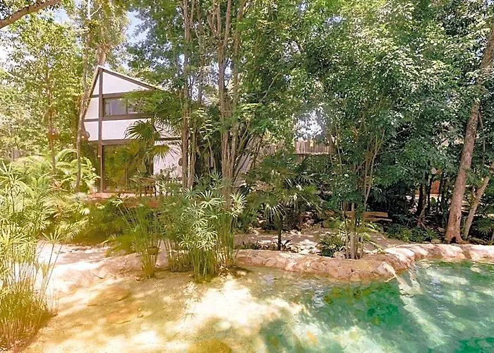 Nahouse Jungle *