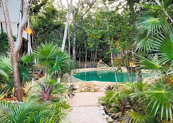 Nahouse Jungle Lodge
