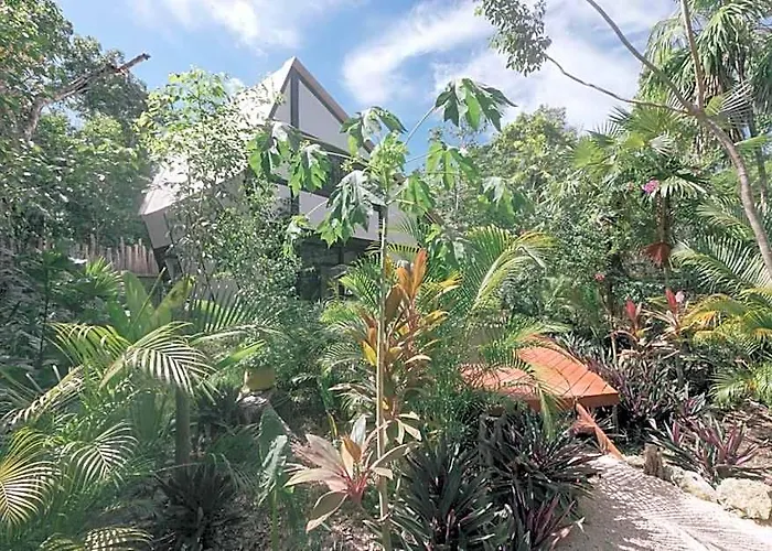 Nahouse Jungle Tulum