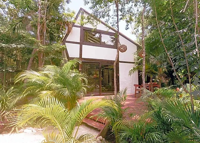 Nahouse Jungle
