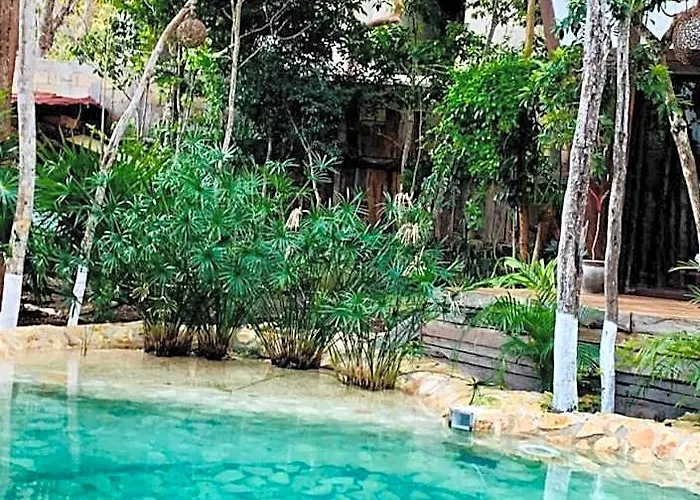 Nahouse Jungle *